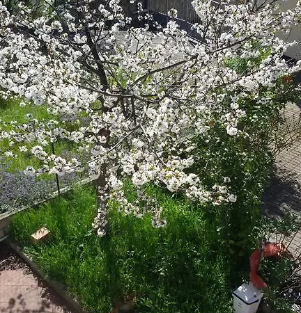 Σπίτι διακοπών La Pieve Λα Σπέτσια
